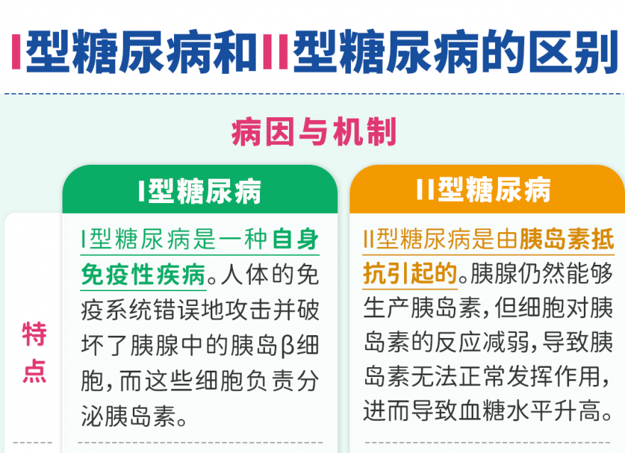 Ⅰ型糖尿病和Ⅱ型糖尿病的區別